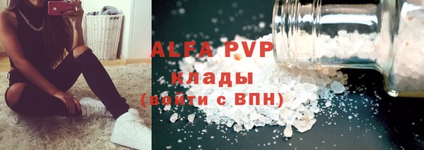 PSILOCYBIN Козельск