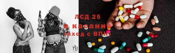 PSILOCYBIN Козельск