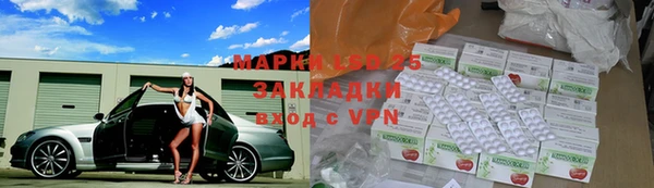 сатива Кодинск