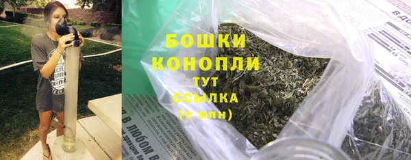 PSILOCYBIN Козельск