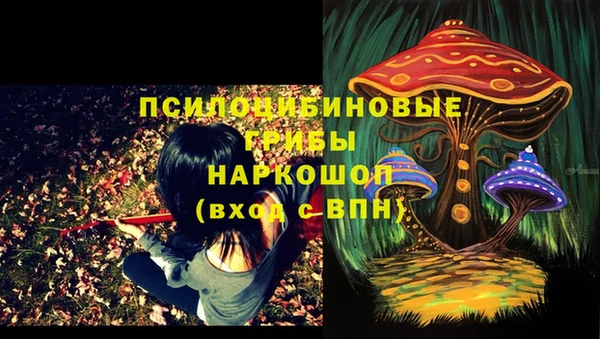 PSILOCYBIN Козельск