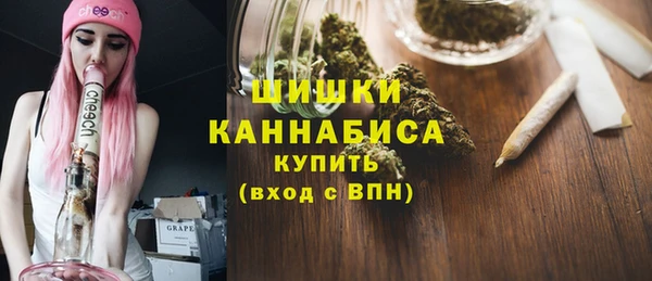 PSILOCYBIN Козельск