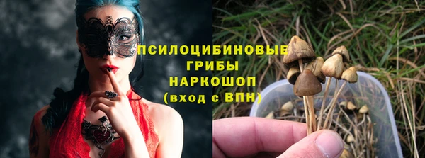 сатива Кодинск