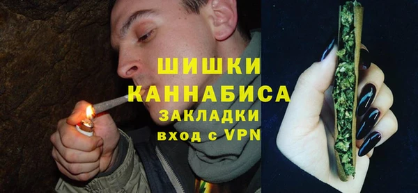сатива Кодинск