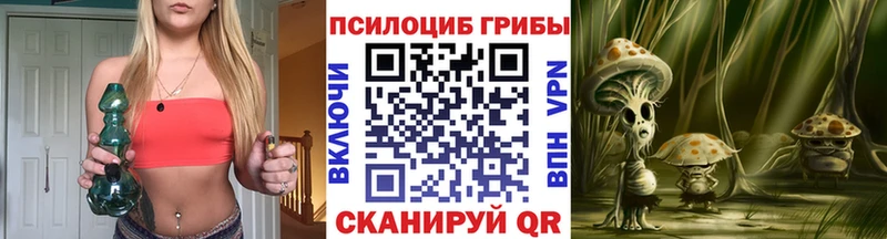 Купить  Советск  Галлюциногенные грибы Cubensis 