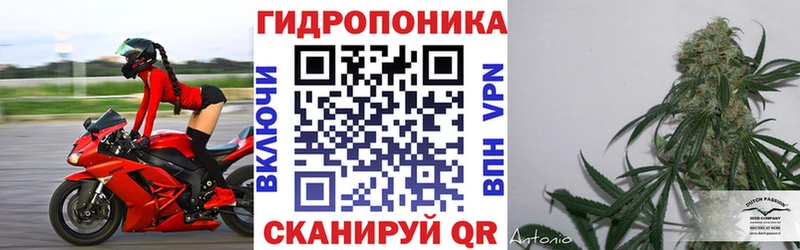 Канабис THC 21% Купить закладки Советск
